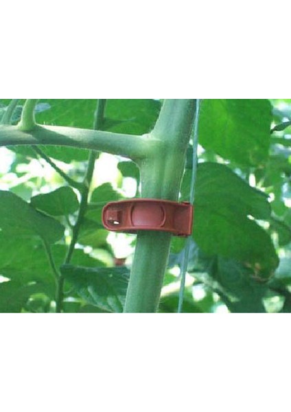 Bitki Askılığı 19 mm 10'lu