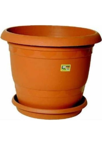 Gazanya Çiçeği Ekim Seti Saksı Toprak 5'li fırsatları