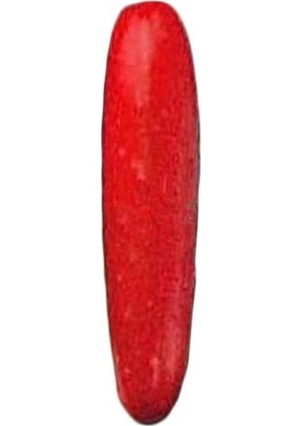 Nadir Kırmızı Salatalık Tohumu 5'li