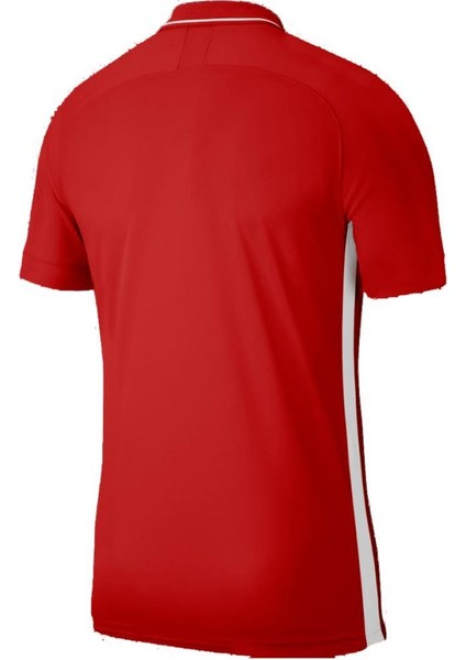 Dry ACADEMY19 Polo Tişört BQ1496-657 M fiyatları