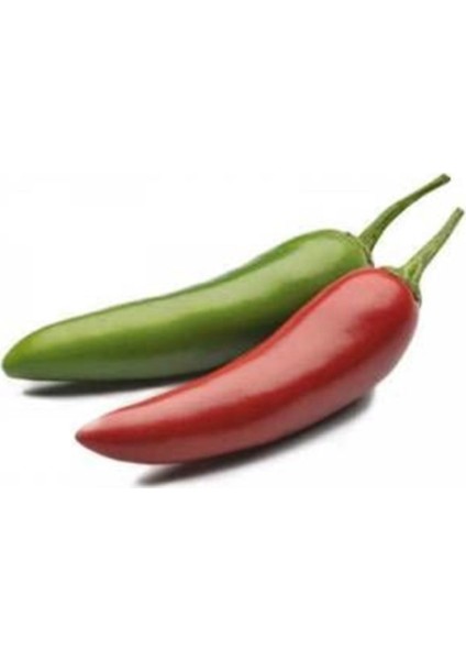Jalapeno Kırmızı Acı Meksika Biberi Tohumu 5'li
