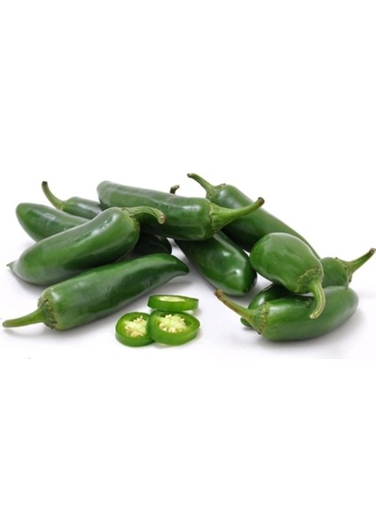 Jalapeno Kırmızı Acı Meksika Biberi Tohumu 5'li