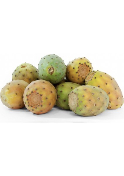 Nadir Dikenli Incir Tohumu 5'li fırsatları