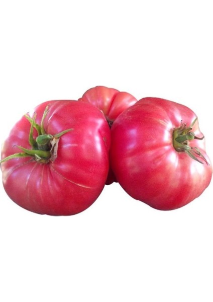 Nadir İri Pembe Domates Tohumu 10'lu