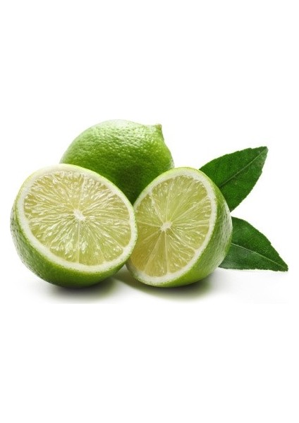 Nadir Lime Misket Limon Tohumu 3'ü