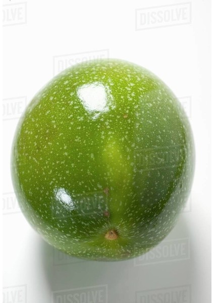 Nadir Passiflora Tohumu 3'lü fırsatları