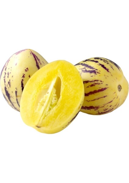 Nadir Saksılık Pepino Tohumu 5'li indirimleri