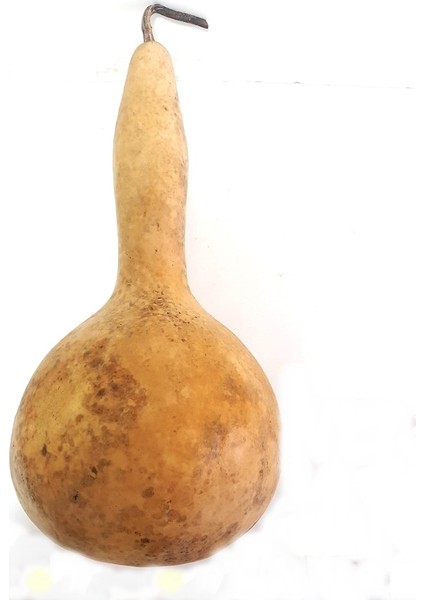 Kuş Evi Su Kabağı Tohumu 5'li