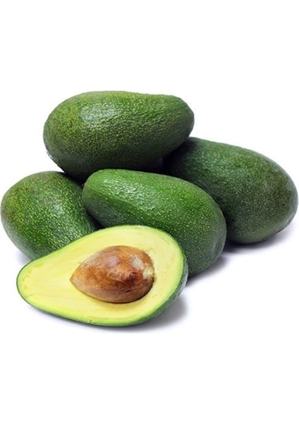 Aşılı Tüplü 2 Yaş Zutano Avokado Boy 80 - 110 cm
