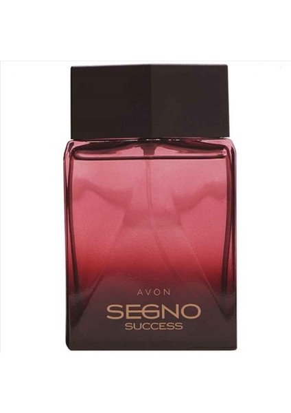 Segno Success Erkek Edp Parfüm