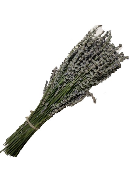 Lavanta Demeti Isparta'dan Gri