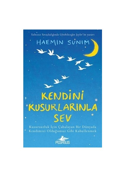 Kendini Kusurlarınla Sev - Haemin Sunim