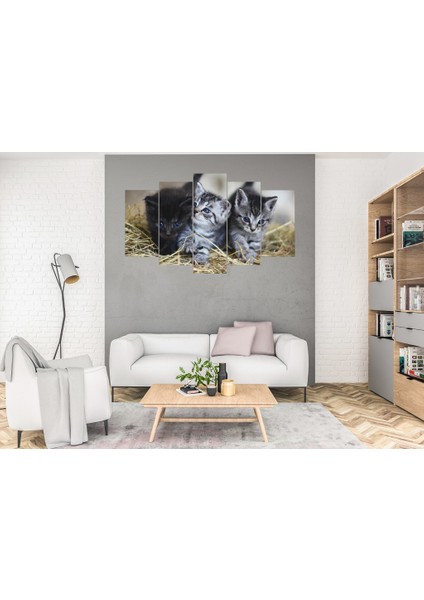5 Parça Dekoratif MDF Tablo Uv Baskı