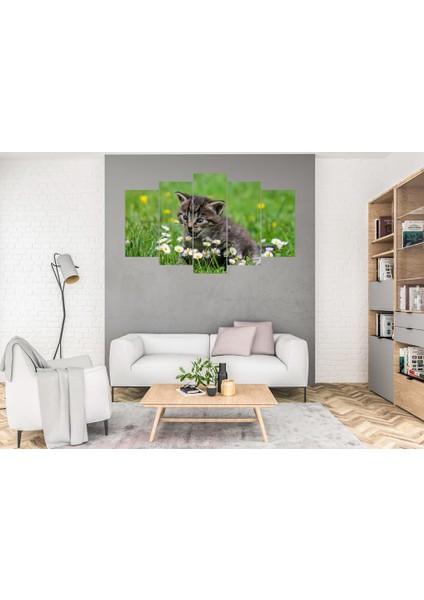 5 Parça Dekoratif MDF Tablo Uv Baskı