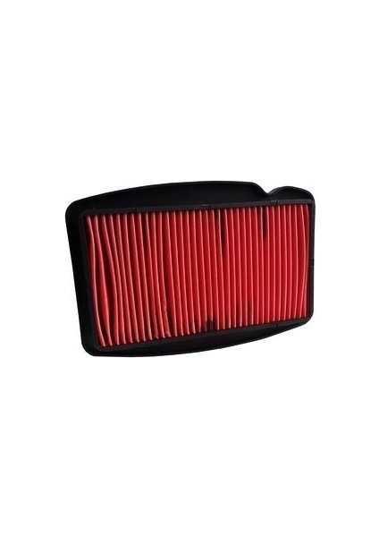 Honda CBF 150 Hava Filtresi
