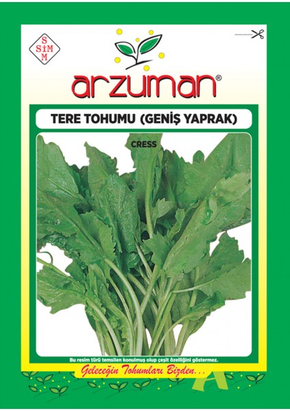 Tere Otu Sebze Tohum Geniş Yaprak 10 gr