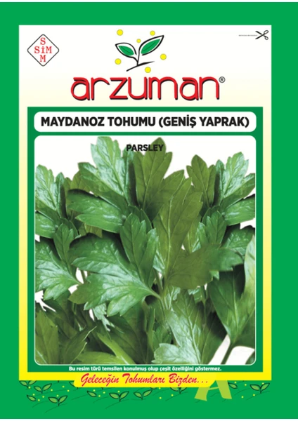 Sebze Geniş Yaprak Maydonoz Tohum 25 gr