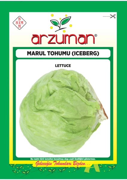 Sebze Iceberg Marul Tohum 5 gr