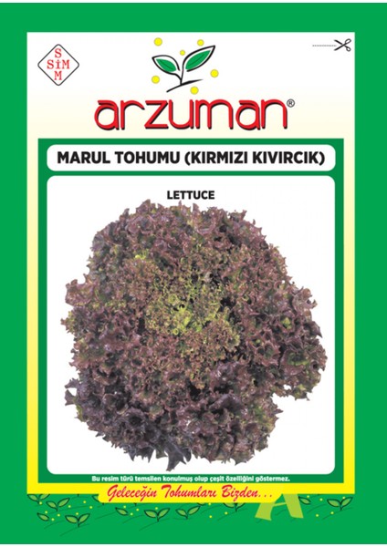 Sebze Kırmızı Kıvırcık Marul Tohum 5 gr