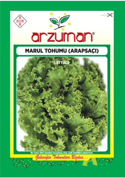 Sebze Kıvırcık Marul Tohum Arapsaçı 10 gr