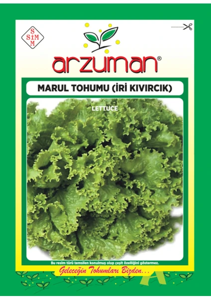 Sebze Yazlık Kıvırcık Marul Tohum 10 gr