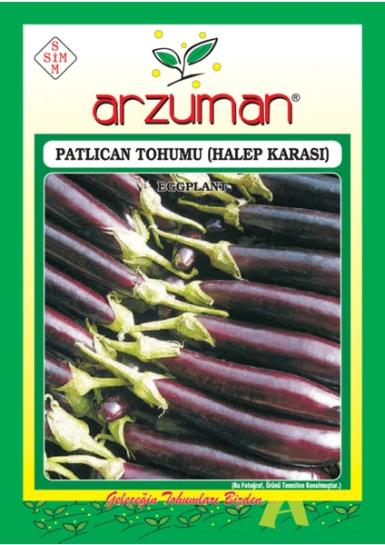 Sebze Patlıcan Tohum Halep Arkası 10 gr