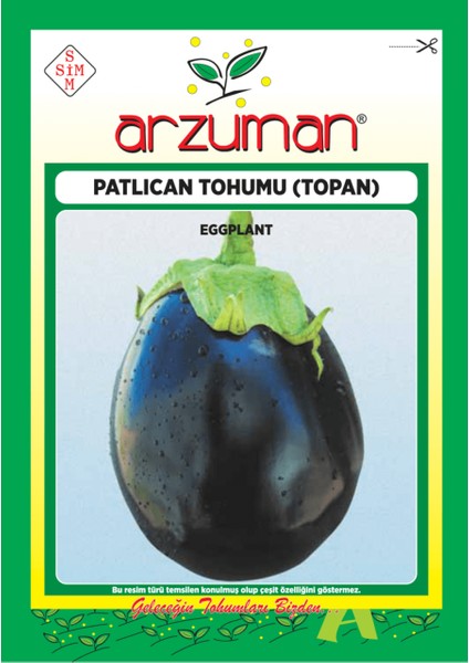 Sebze Patlıcan Tohum Topan 10 gr
