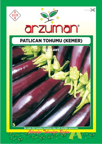 Sebze Patlıcan Tohum Kemer 10 gr