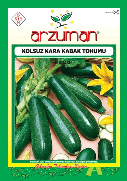 Sebze Kolsuz Kara Kabak Tohum 10 gr