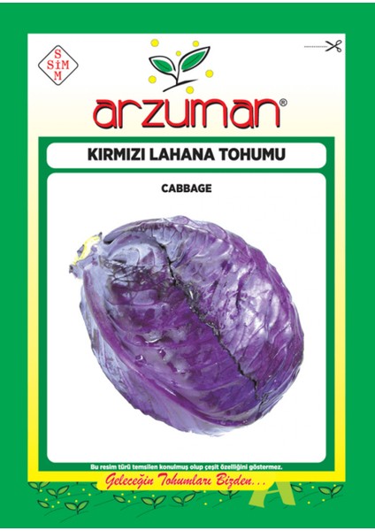 Sebze Kırmızı Lahana Mor Tohum 10 gr