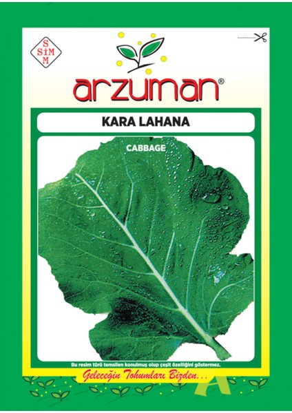 Sebze Kara Lahana Tohum Karadeniz 10 gr