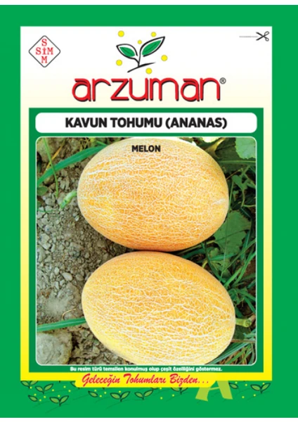 Meyve Kavun Tohum Ananas Tipi 10 gr