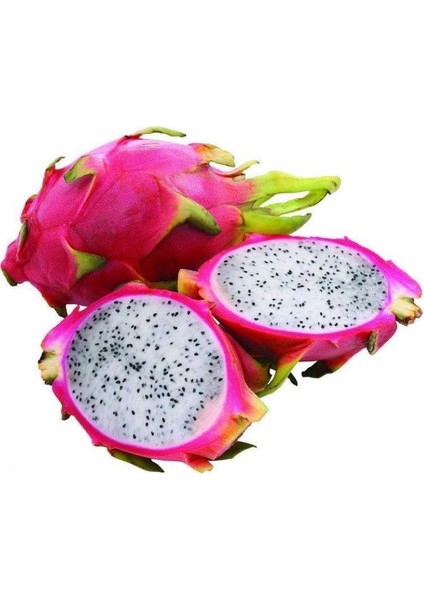 Chef's Garden - Pitahaya Dragon Ejder Meyvesi 1