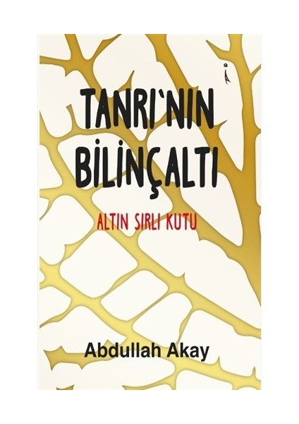 Tanrı'Nın Bilinçaltı - Abdullah Akay