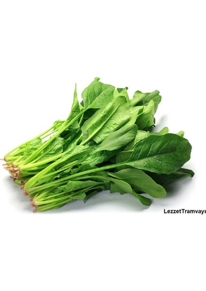 Ithal Ispanak Tohumu 50 gr