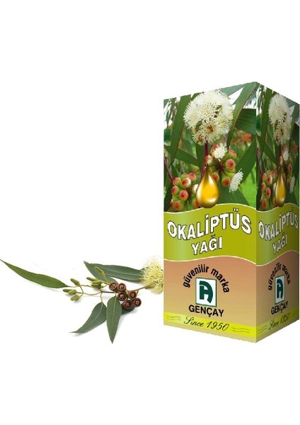 Okaliptüs Yağı 20  ml