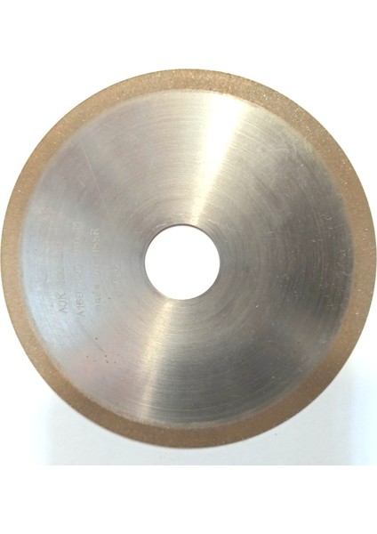 Elmas Disk 100 mm