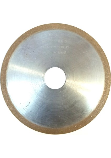 Elmas Disk 100 mm