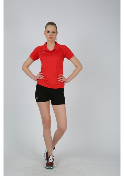 Maria Kadın Polo Yaka T-Shirt fiyatları