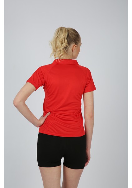 Maria Kadın Polo Yaka T-Shirt fırsatları
