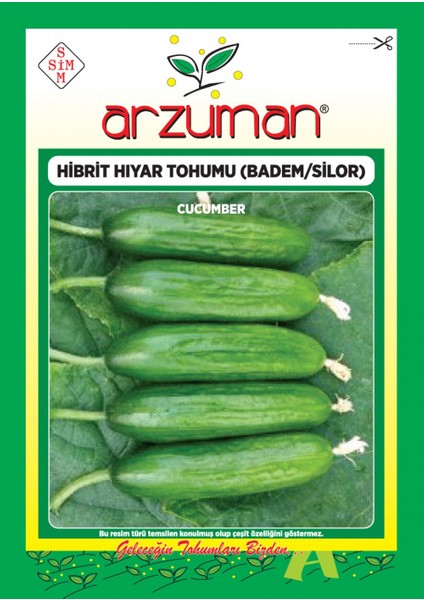 Hibrit Salatalık