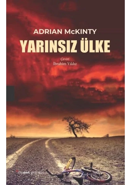 Yarınsız Ülke - Adrian Mckinty