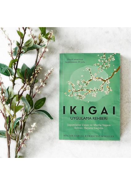 Ikigai Uygulama Rehberi Ikigai Uygulama Rehberi