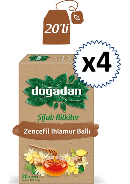 Zencefil Ihlamur Ballı Bitki Çayı 20'li x 4
