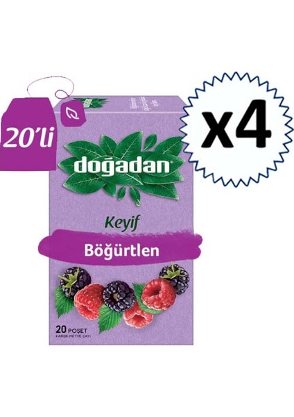 Meyve Çayı Böğürtlen 20'li x 4