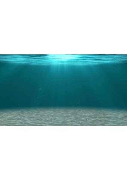 KP554006 Akvaryum Arka Fon Yapıştırma