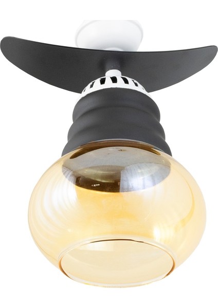 Tekli Modern Tarz Kayık Model Metal Camlı Sarkıt Avize