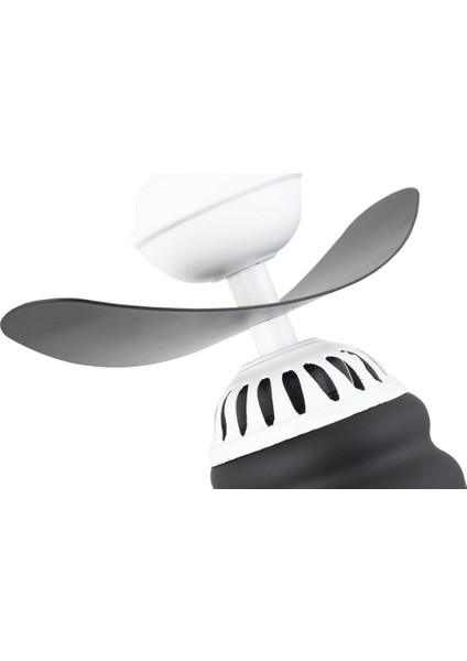 Tekli Modern Tarz Kayık Model Metal Camlı Sarkıt Avize