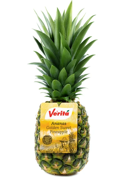 Gold Ananas 10'lu Koli - 12 kg