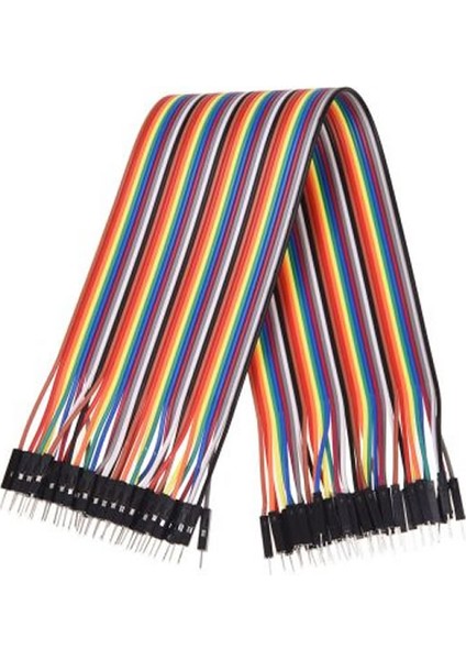 20 cm 40'lı Jumper Kablo Erkek-Dişi